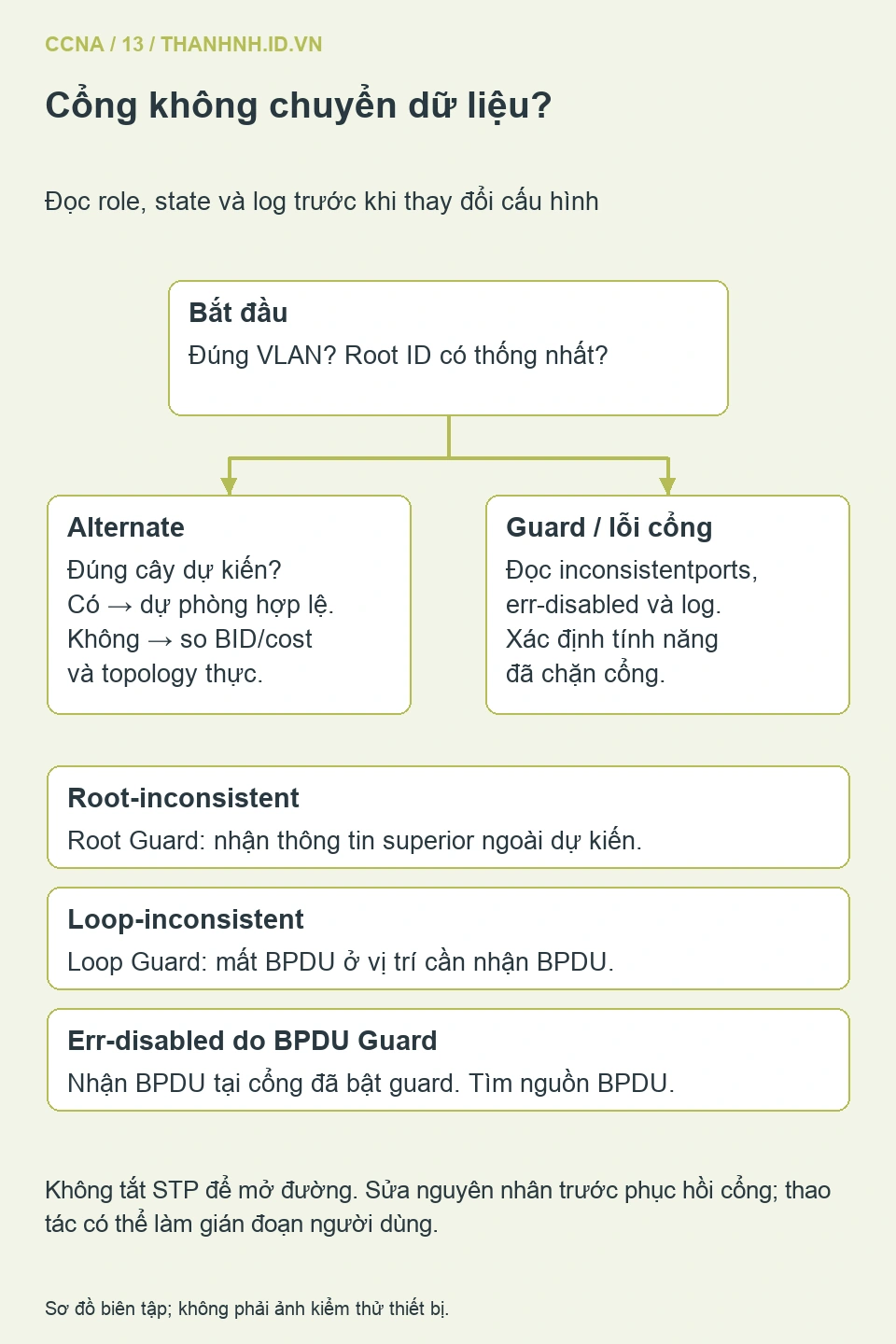 Cây xử lý phân biệt alternate hợp lệ, root inconsistent, loop inconsistent và err-disabled do BPDU Guard