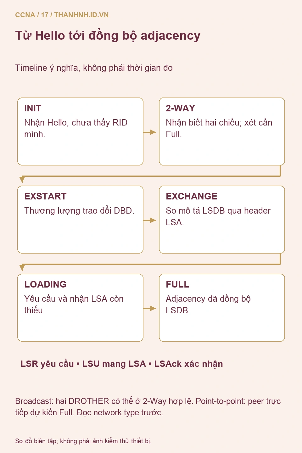 Chuỗi Init, 2-Way, Exstart, Exchange, Loading, Full với chức năng Hello DBD LSR LSU LSAck