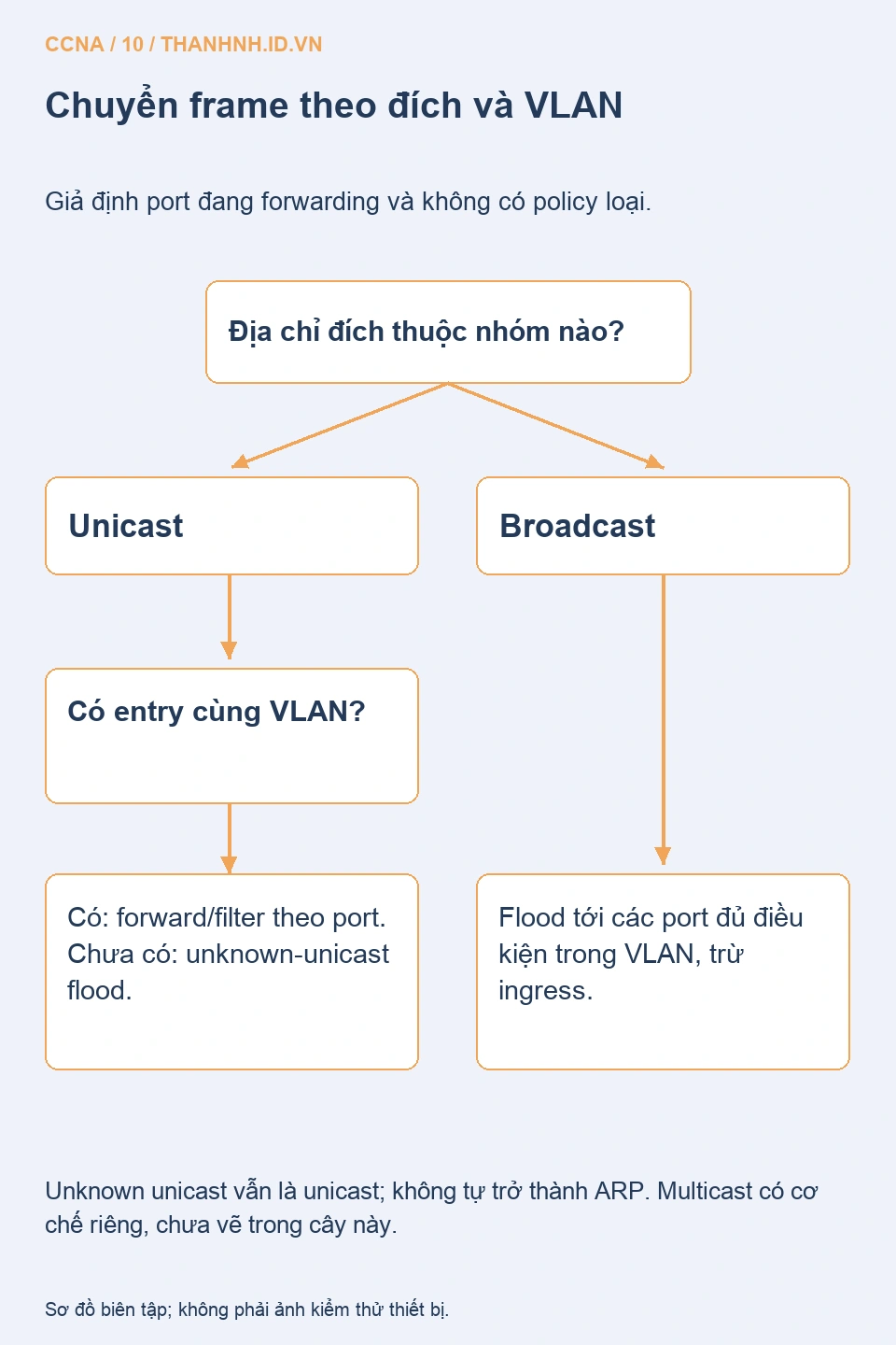 Cây quyết định chuyển tiếp known unicast, unknown unicast và broadcast trong VLAN