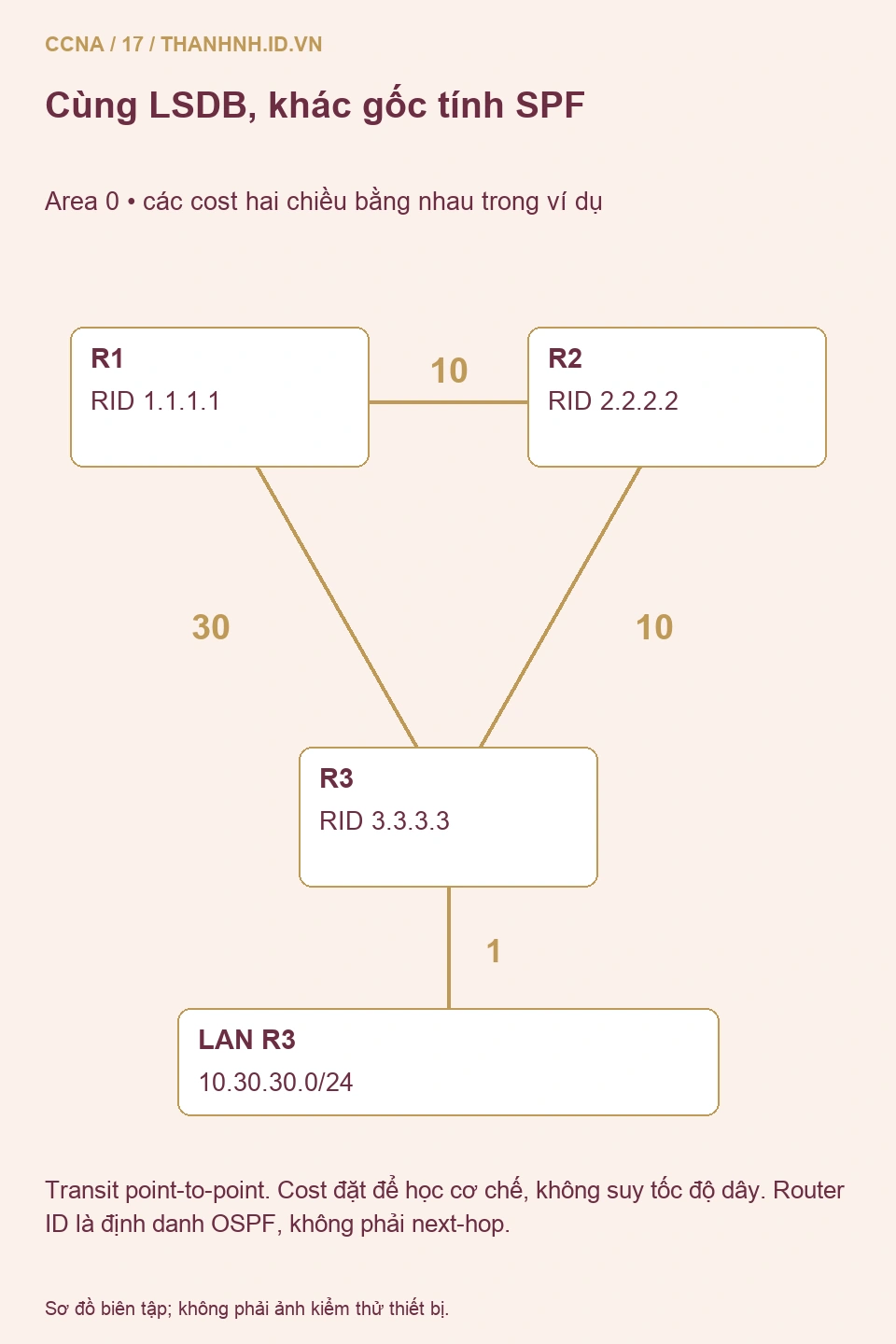 Đồ thị area 0 có cost 10 giữa R1 R2, 10 giữa R2 R3, 30 giữa R1 R3 và cost LAN R3 là 1