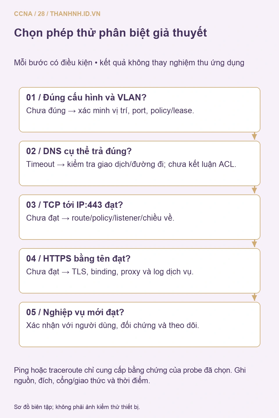 Cây phân tích theo cấu hình máy, phân giải DNS, kết nối TCP và lớp HTTPS