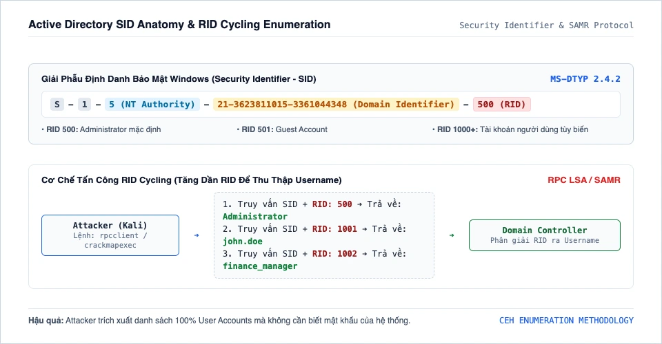 Sơ đồ giải phẫu cấu trúc định danh bảo mật Windows SID và cơ chế tấn công RID Cycling