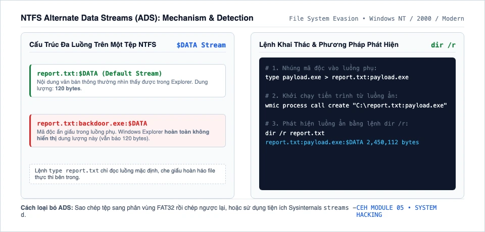 Sơ đồ cấu trúc luồng dữ liệu xen kẽ NTFS ADS và cơ chế phát hiện