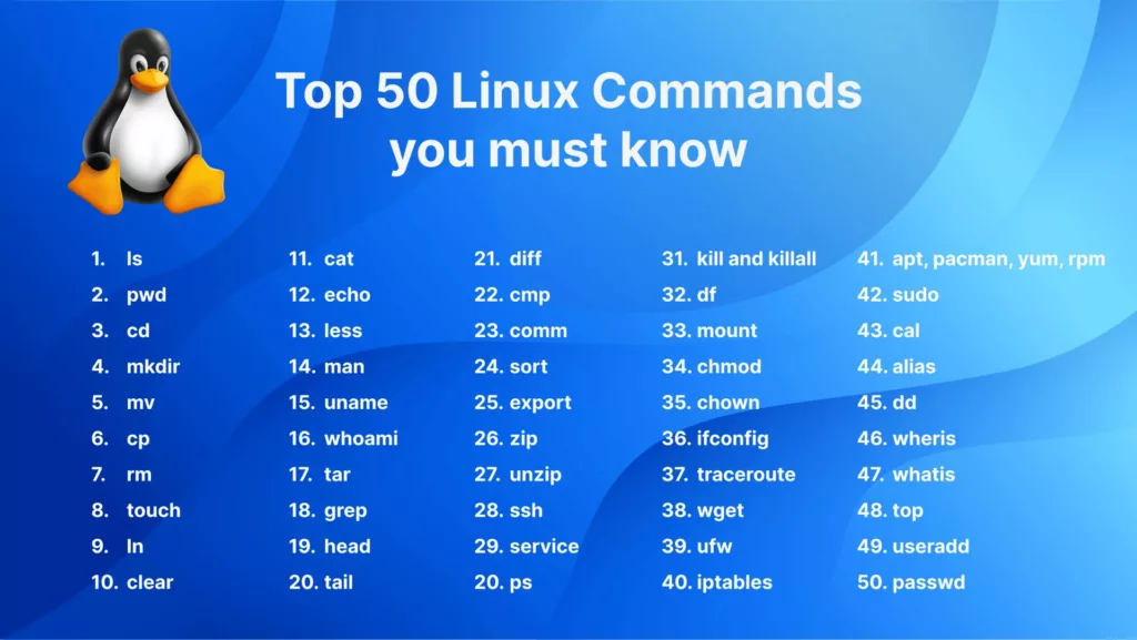 Các lệnh Linux cơ bản (Phần 2)