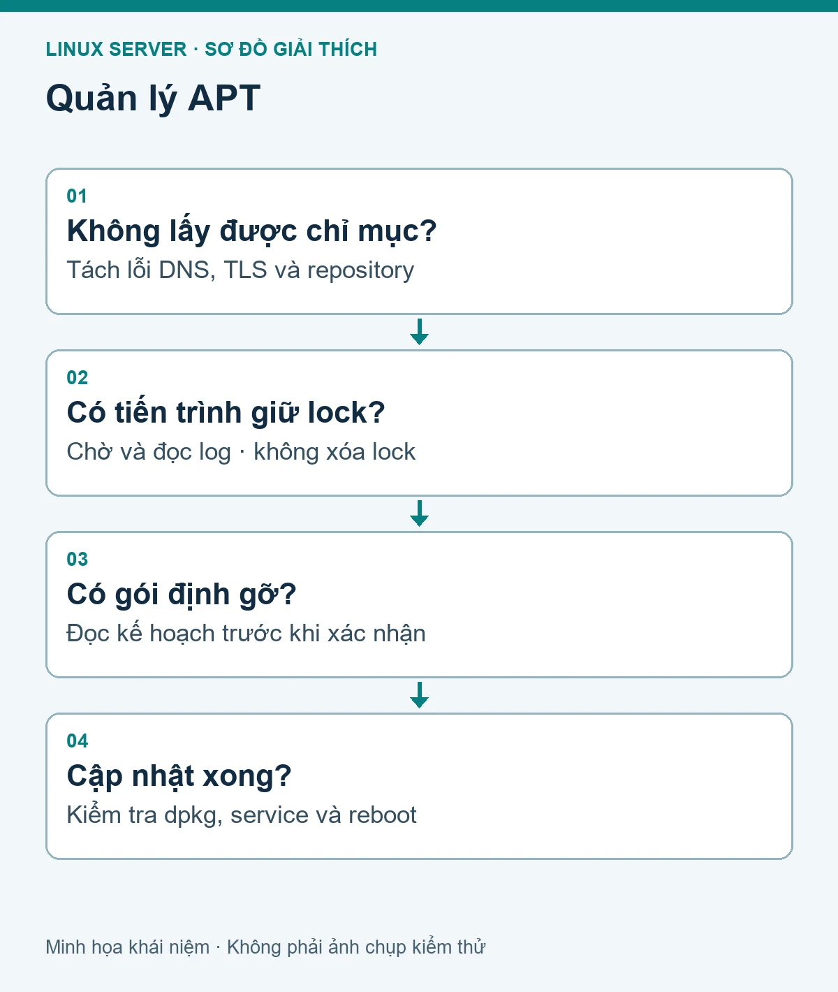 Sơ đồ các bước kiểm tra: Cài đặt và cập nhật phần mềm bằng APT trên Ubuntu Server