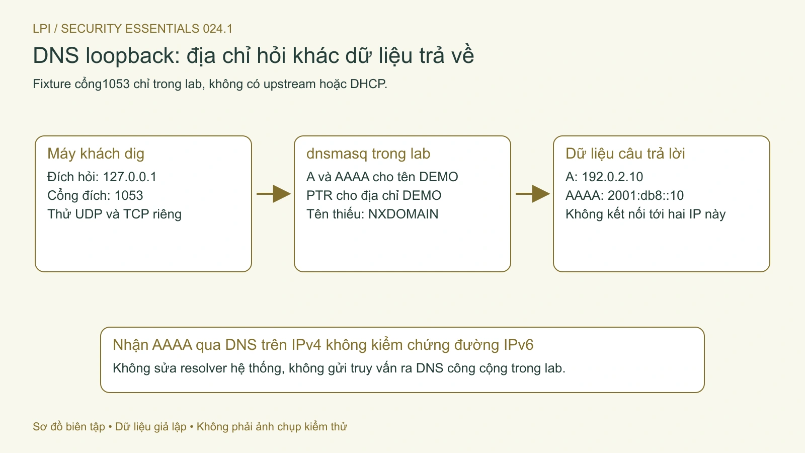DNS có thể trả địa chỉ IPv6 qua truy vấn IPv4; dữ liệu phản hồi khác địa chỉ đích của truy vấn.