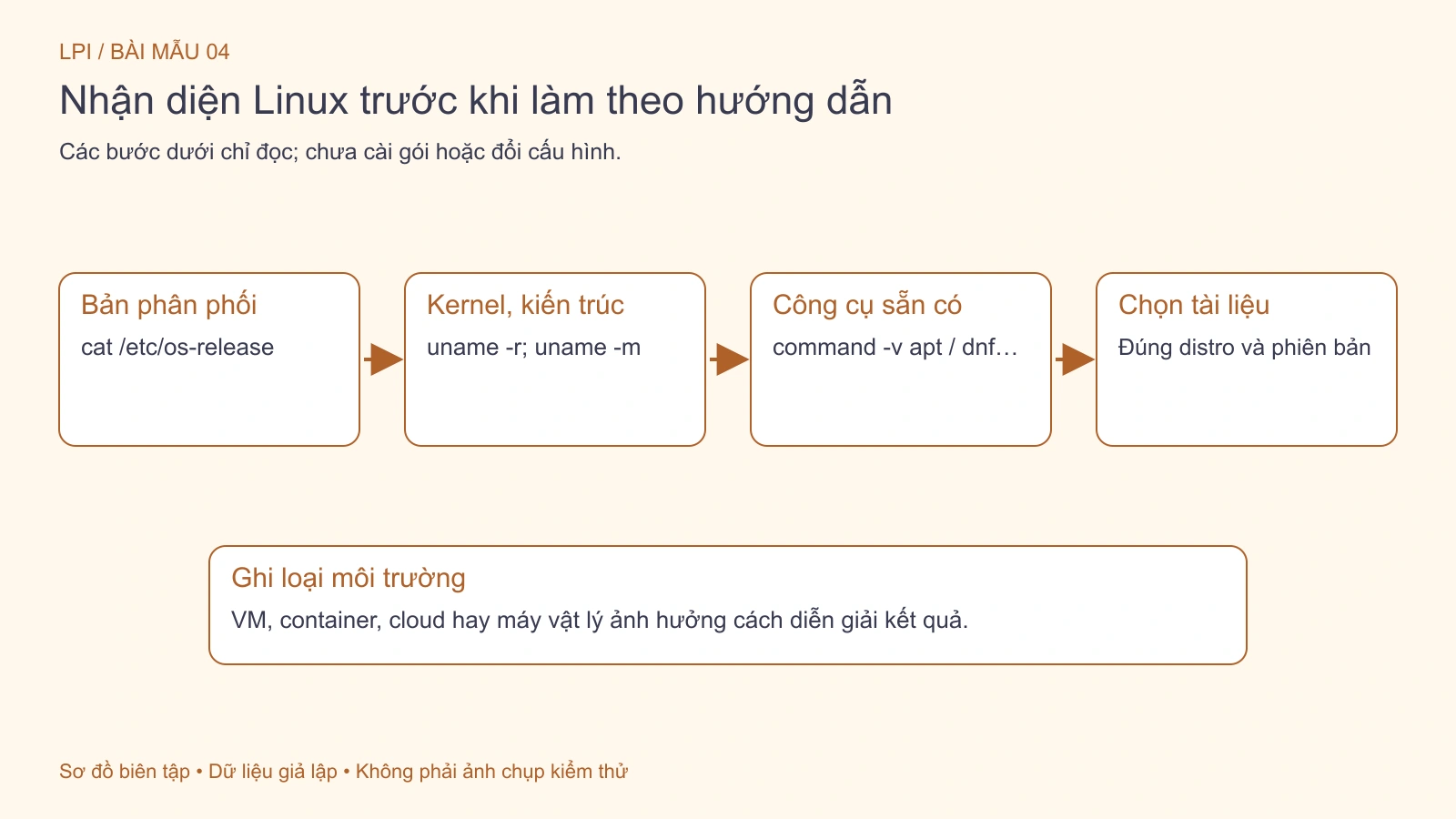 Nhận diện bản phân phối, kernel và môi trường trước khi chọn hướng dẫn.