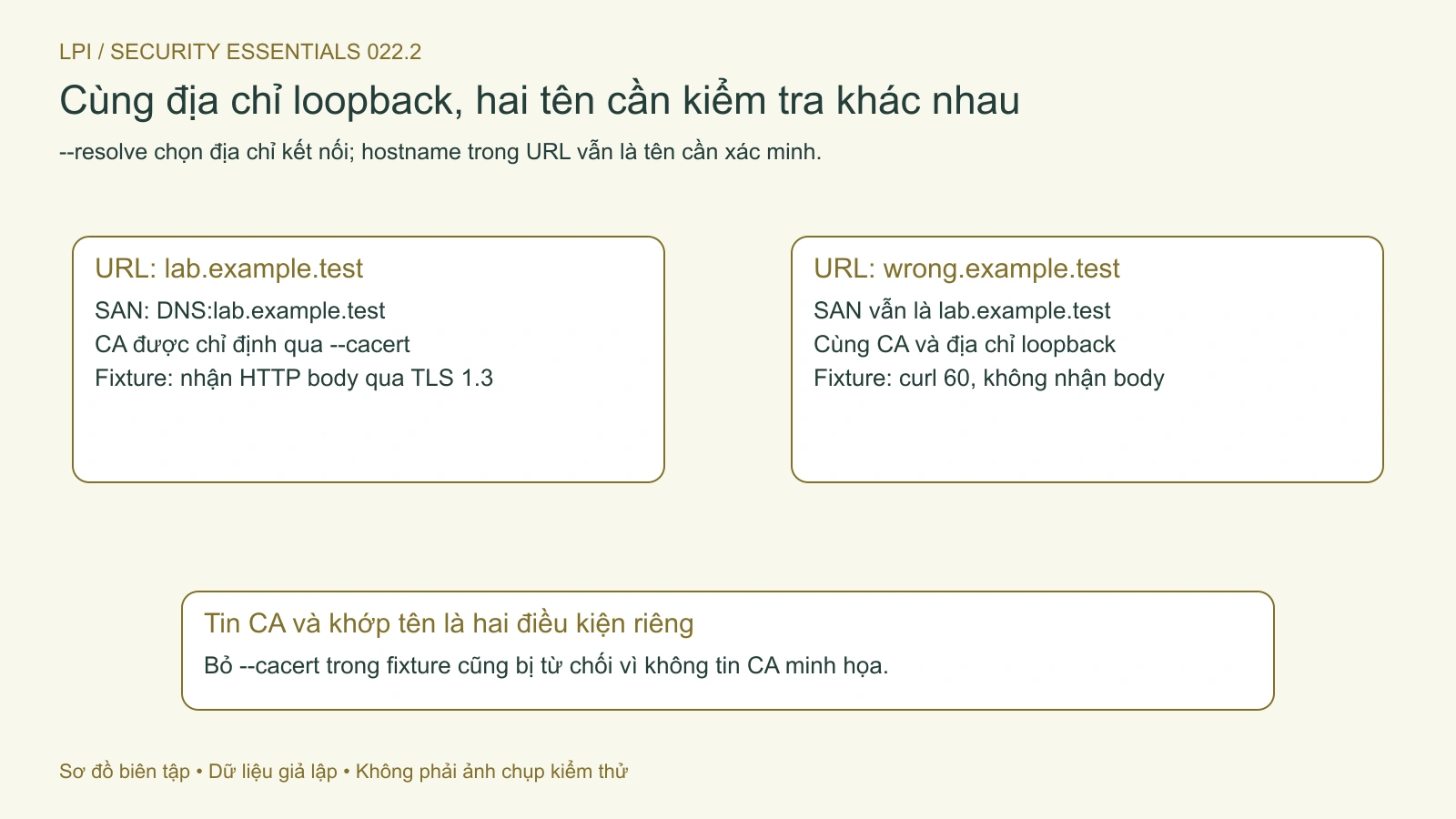 Cùng địa chỉ kết nối chưa có nghĩa cùng danh tính TLS; CA và SAN được kiểm tra riêng.