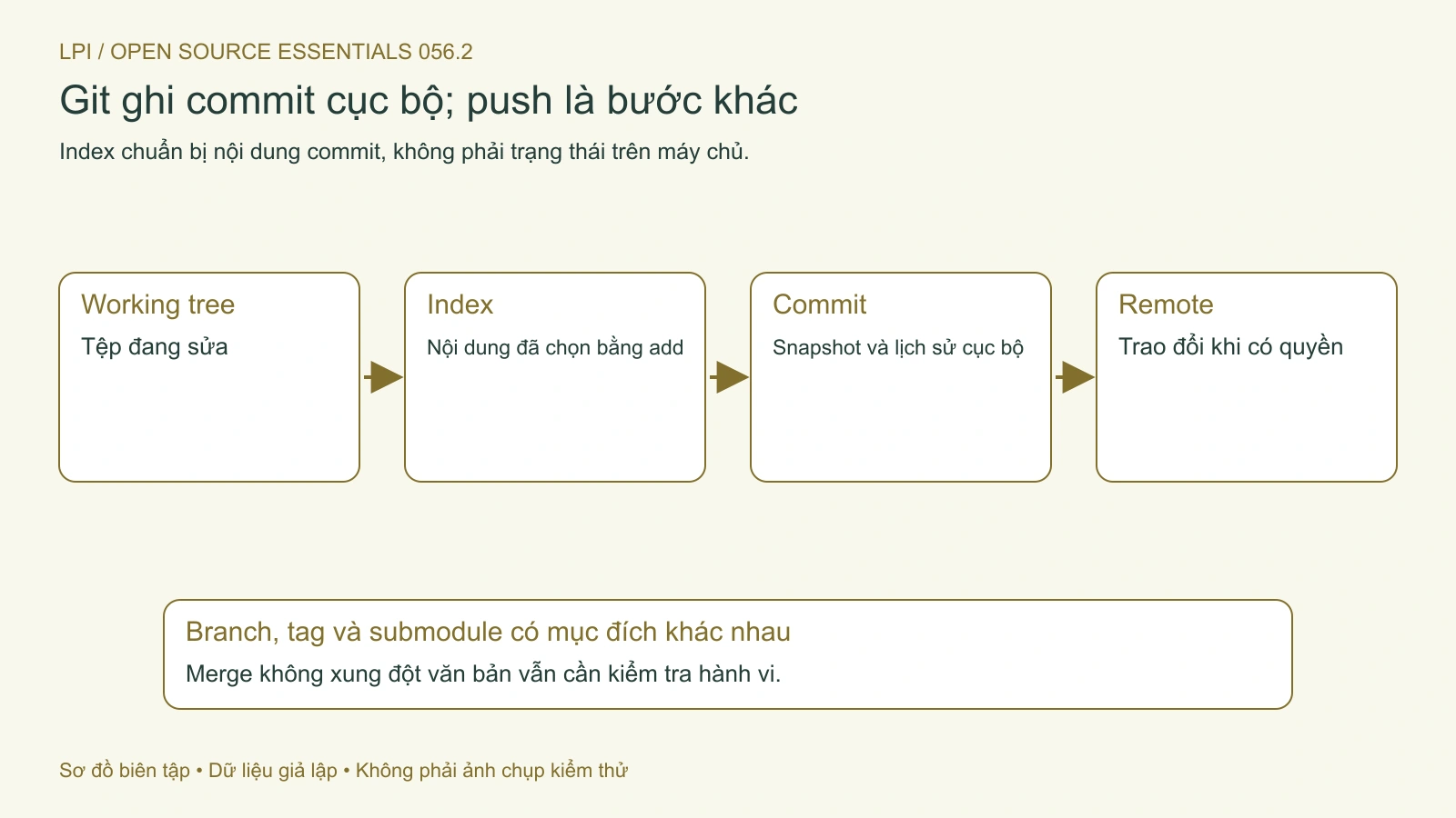 Commit ghi trạng thái đã chọn trong index; push là bước trao đổi với remote.
