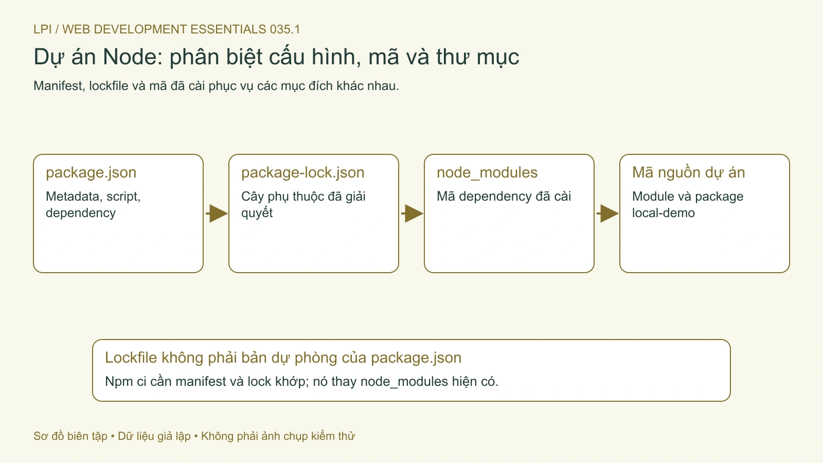 Manifest mô tả dự án, lockfile ghi cây phụ thuộc, node_modules chứa mã đã cài.