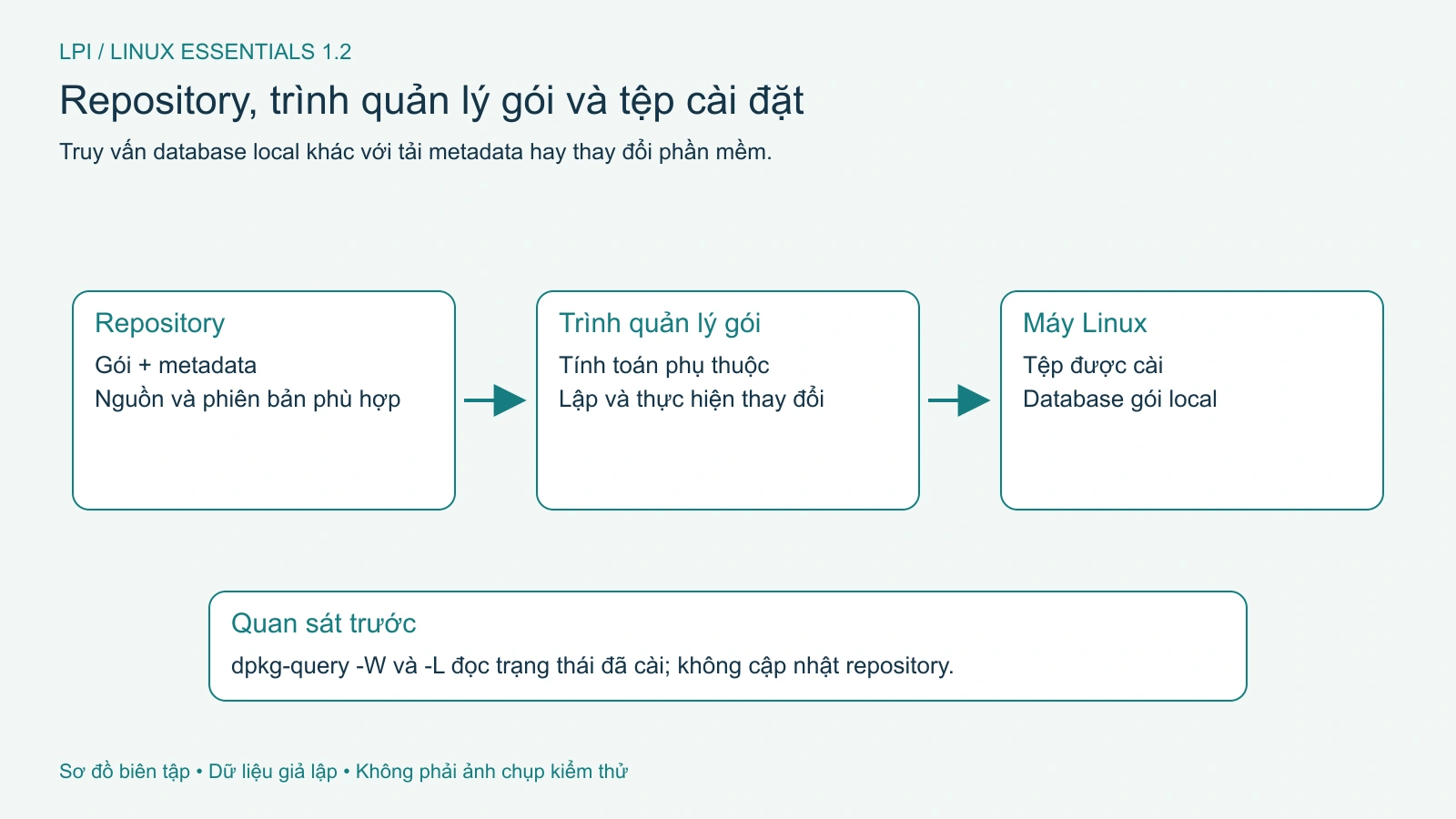 Gói, repository và trình quản lý gói tham gia các phần khác nhau của luồng cài đặt.