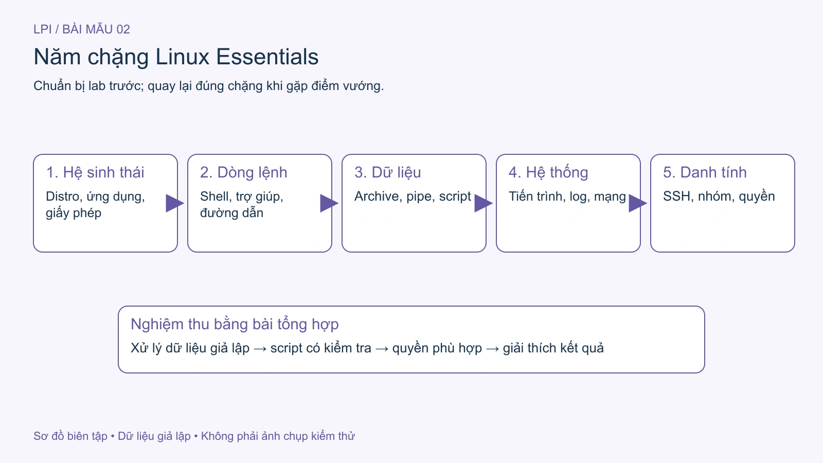 Năm chặng học Linux từ nhận diện môi trường đến quản lý quyền.