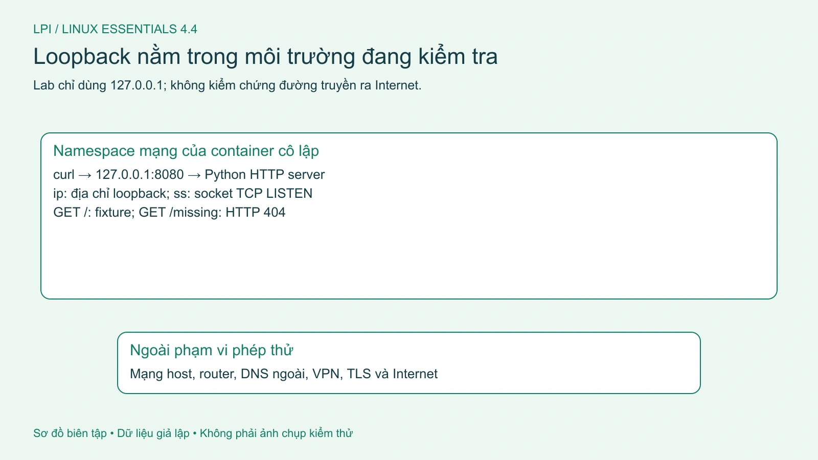 Lab loopback xác nhận socket và HTTP trong container, chưa chứng minh kết nối Internet.