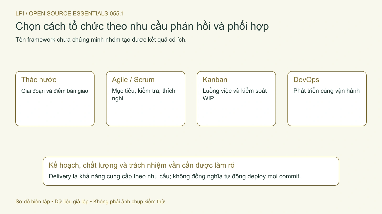 Mỗi cách tổ chức cần được xét theo mục tiêu, trách nhiệm và cách nhận phản hồi.